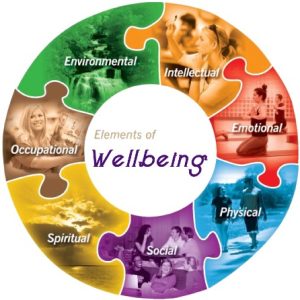 Package VI Health and Wellness Practitioner Full Payment