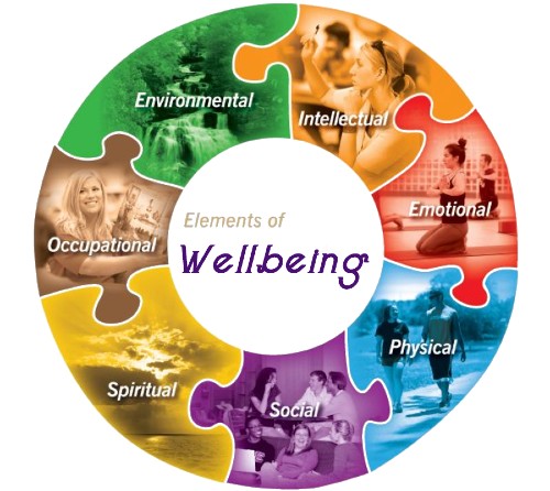 Package VI Health and Wellness Practitioner Full Payment
